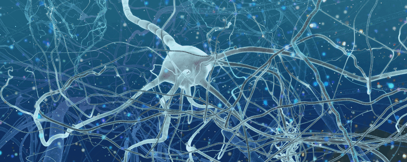 On MDMA, VETS Urges the FDA to Follow the Science, Advance a Revolutionary Treatment for PTSD, and Reduce the Incidence of Veteran Suicide