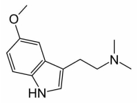 5-MeO-DMT Cell Structure