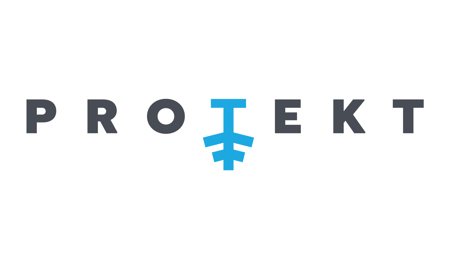 Protekt Logo